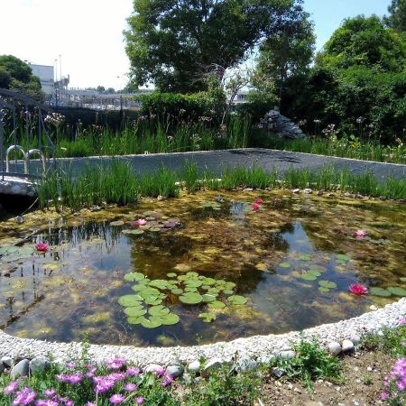 Villa Fiorita Monfalcone Bagian luar foto