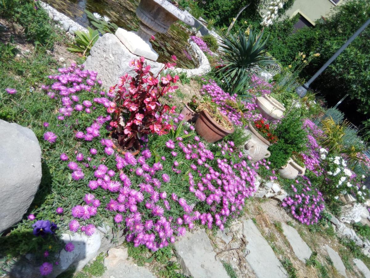 Villa Fiorita Monfalcone Bagian luar foto