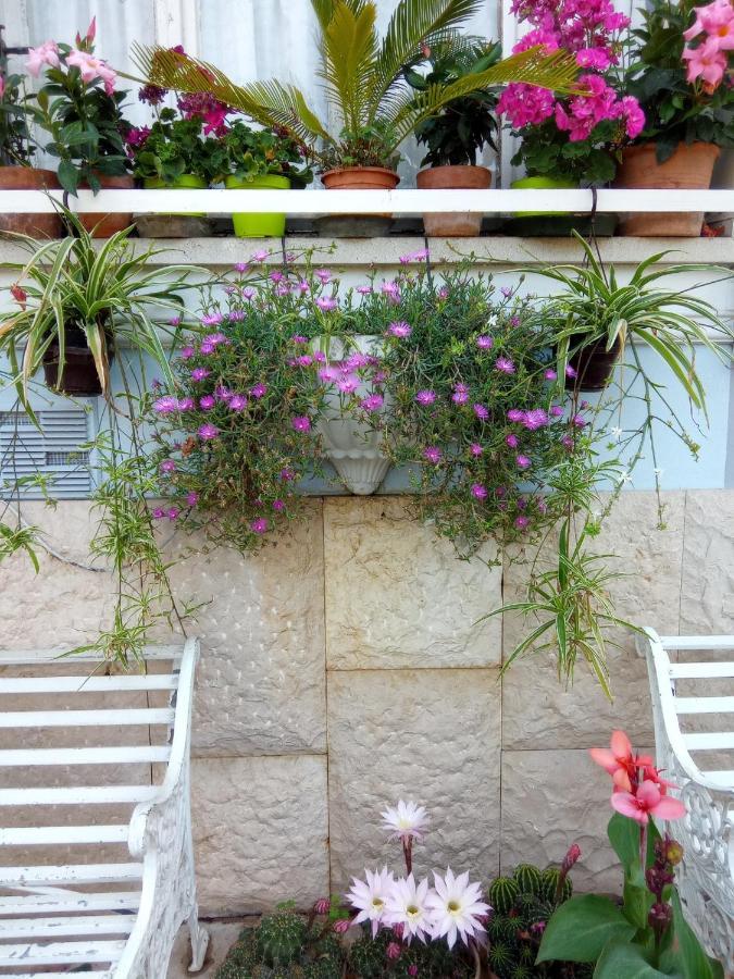 Villa Fiorita Monfalcone Bagian luar foto