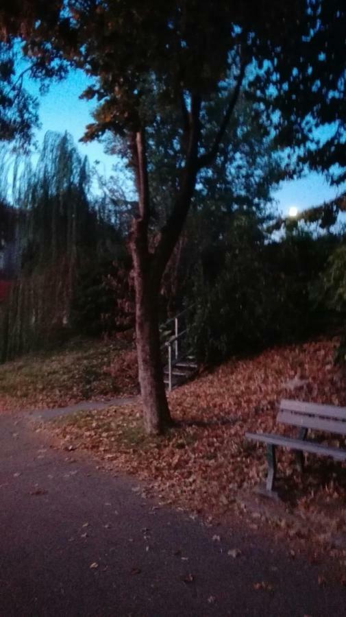 Villa Fiorita Monfalcone Bagian luar foto